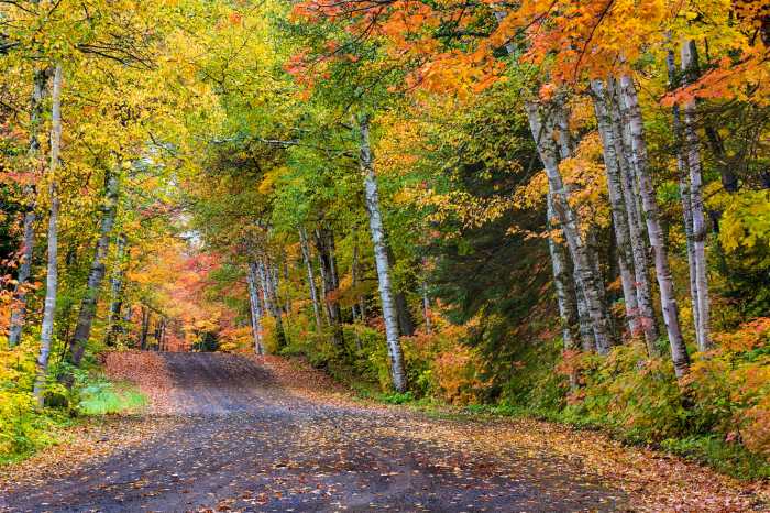 GettyImages-488589745-da0b932fefe7